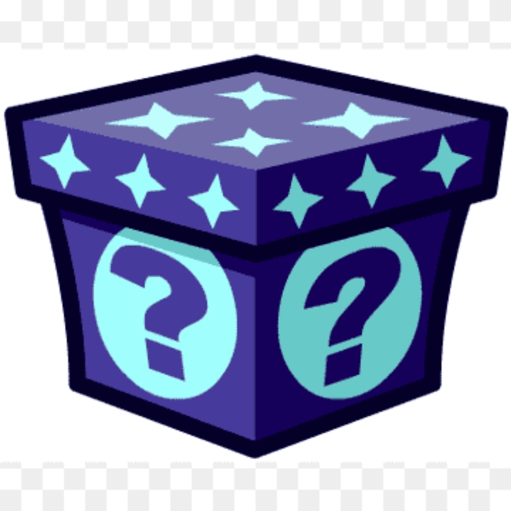 50 Dollar PLAYBOY MYSTERY Box